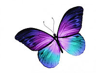 sticker-papillon-violet-et-bleu.jpg